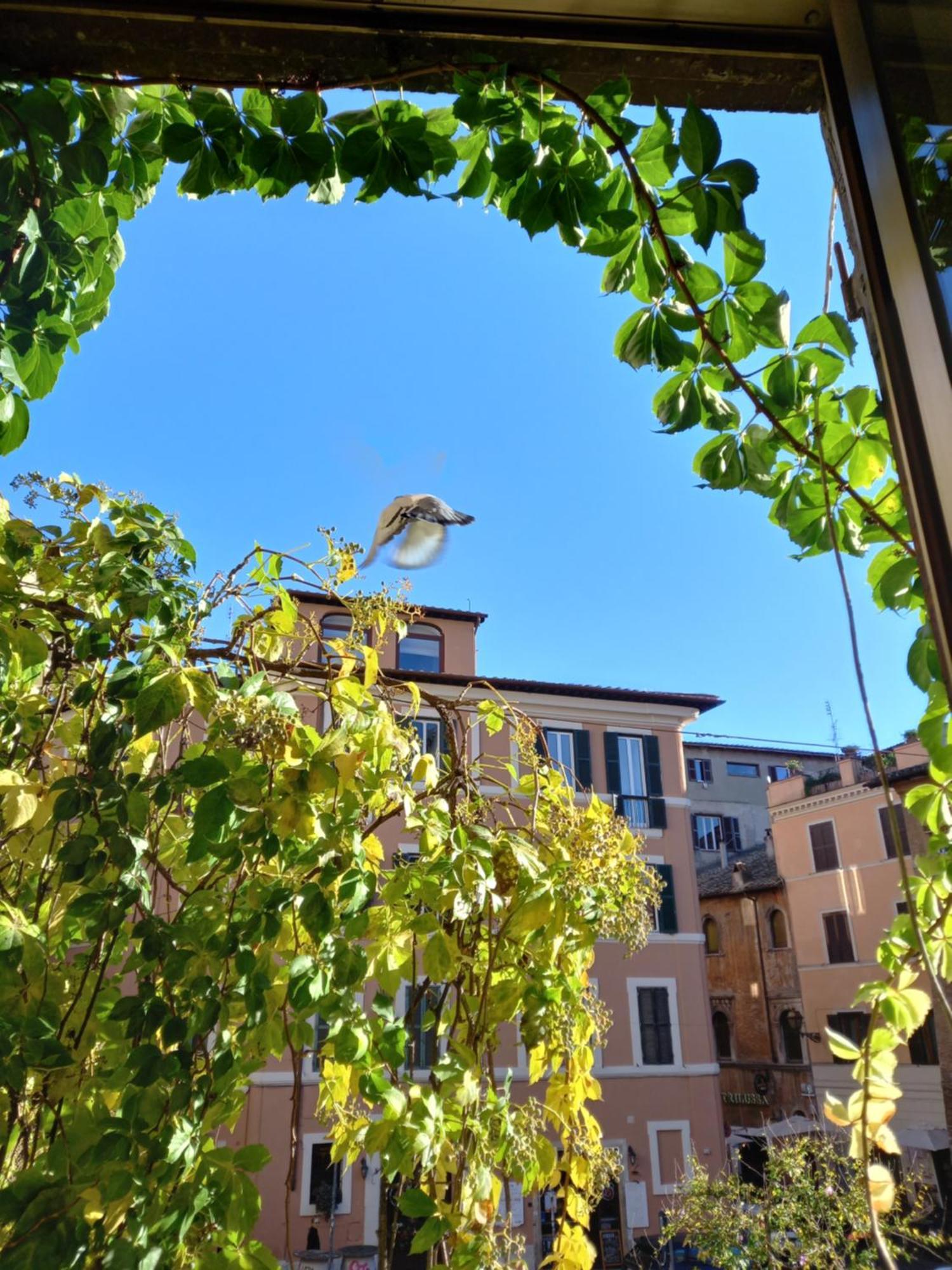 Central Apartment In Trastevere Rome Room photo